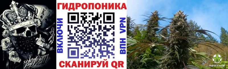 Каннабис Bruce Banner  KRAKEN ONION  Нижняя Салда 